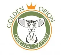 Розплідник кішок Golden Orion кішок