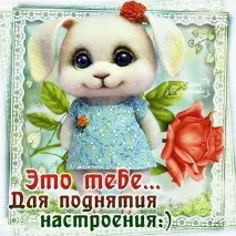 защо понякога