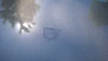 Потріскався лак потріскався