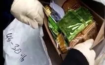 интелигентна приморец