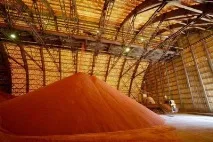 Корисні копалини Білорусі, їх стан та використання копалини