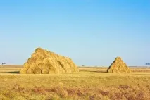 області