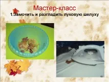 лушпиння