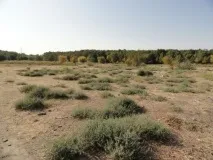 області