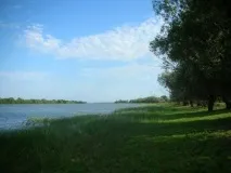 області