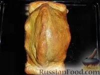 Птах, Курка з грибами, Страви з грибів, На святковий стіл, фото на 456 рецептів курка