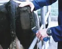 Пристрій для тарвіння холодом Brand-a-Bull пристрій