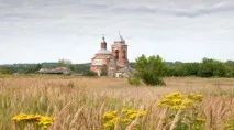 рослини