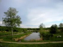 рослини