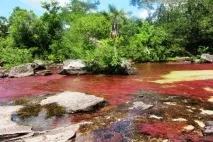 cristales caño