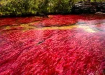 колумбия caño