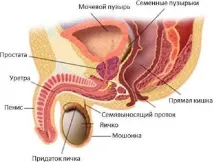 мъже лечение