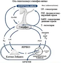 лечение прогноза