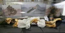 снимки снимки
