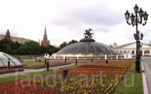 Сади на дахах даху