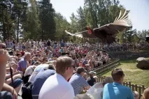 djurpark kolmårdens