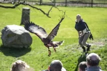 djurpark djurpark