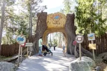 kolmårdens djurpark