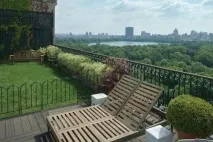 Сади на дахах будинків (12 фото) сади