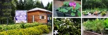 Садовий центр садовий