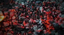 производство барбекюта