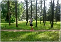 Ботанічний сад імені Гришка бузку