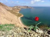 БОЖЕ, ЯК САДИНО садино