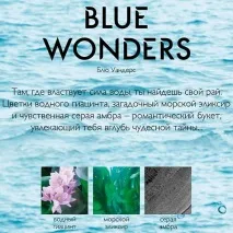 тоалетна wonders