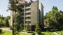 перлина перлина
