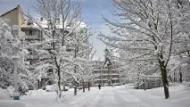 прикарпатия прикарпатия