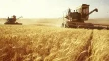 земеделие русия