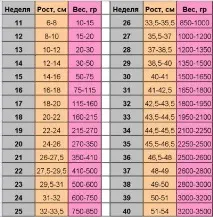 Серцебиття плоду норма по тижнях, методи контролю плоду