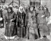 Собака, що задушив за ніч понад 100 щурів, 1916 р щурів