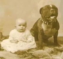 Собака, що задушив за ніч понад 100 щурів, 1916 р задушив