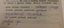 училищни записи