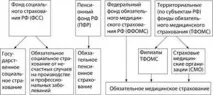 осигуряване