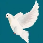 Соціальний педагог у школі соціальний