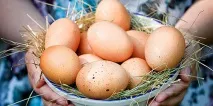 тълкуване яйца