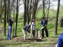 Сонник прибирати сміття до чого сниться Прибирати Сміття на вулиці, будинку, квартирі бачити уві сні прибирати
