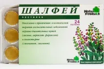 основни техните