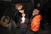 саркіс