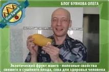съдържание манго