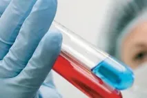 Судова практика про визнання шлюбу недійсним та її наслідки (2019 рік) судова