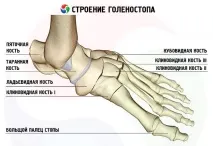 става структура