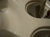 стари тест