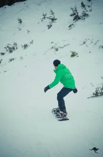 2019
