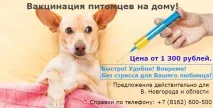 животни велики