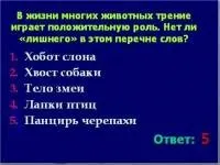 фізика