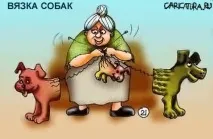 кучето трябва чистопородни