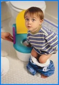 фекална фекална
